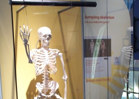 Jumping Skeleton